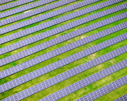 Ground-mounted solar panels at optimal angle in a garden setting